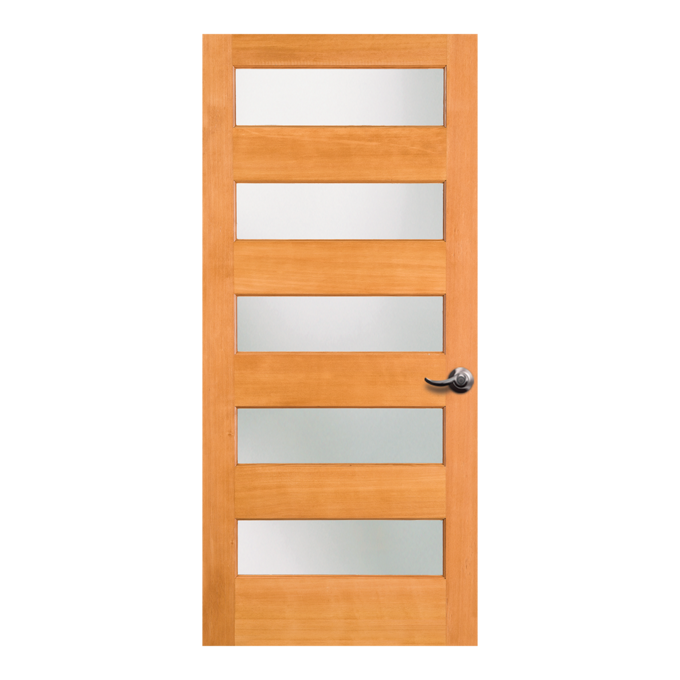 Contemporary 5 Lite Interior Door