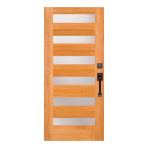 Contemporary Exterior Doors