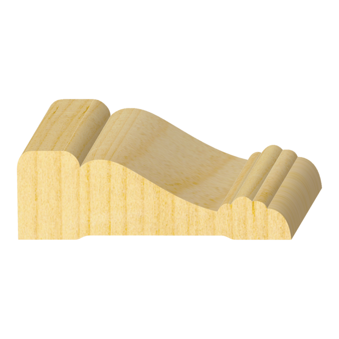 49er Casing - 1 ft