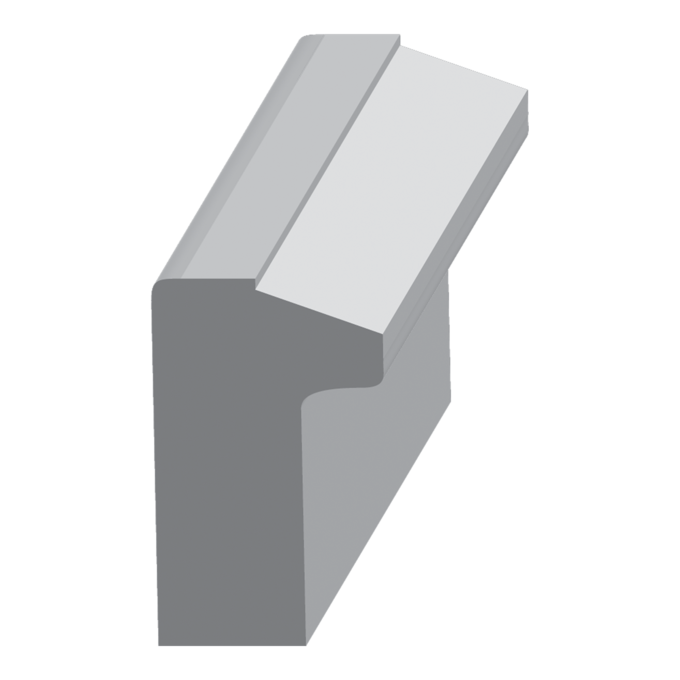 Back Band