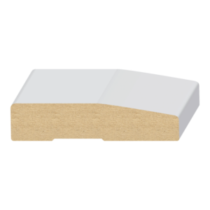 Intrada Casing - 1 ft