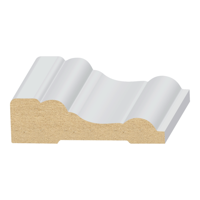 Tucson Casing - 1 ft
