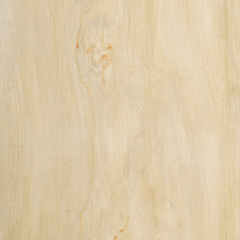 Wellington Rosette with Edge Detail - 1 ft - Image 3